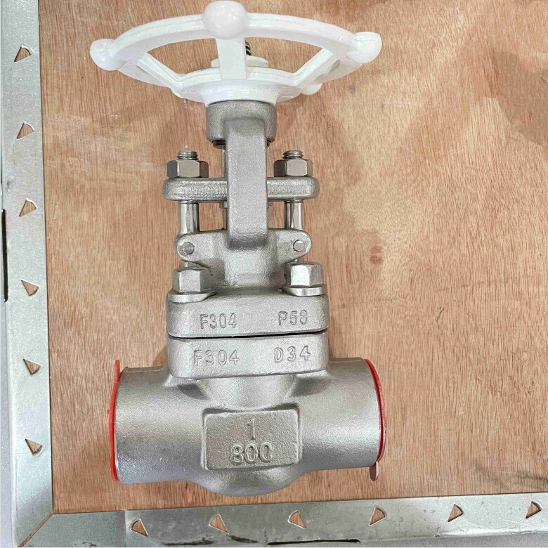 ASTM A182 F304 Gate Valve, 1 Inch, 800 LB, API 602, SW