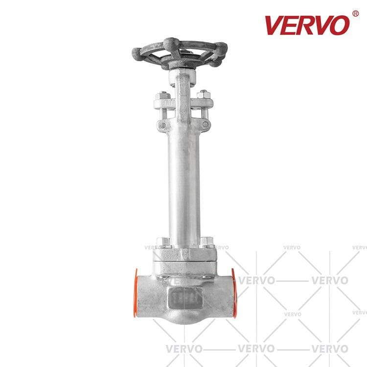 ASTM A182 F316 Cryogenic Gate Valve, 3/4 Inch, 800 LB, SW