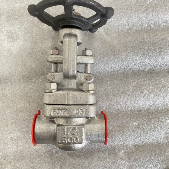 ASTM A182 F316L Gate Valve, API 602, 1/2 Inch, 800 LB, SW