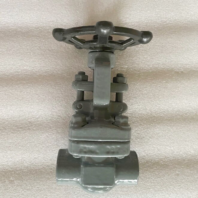 ASTM A182 F316L Gate Valve, API 602, Bolted Bonnet, 1/2IN CL800