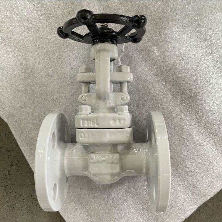 ASTM A182 F316L Gate Valve, API 602, OS&Y, 3/4 IN, CL150