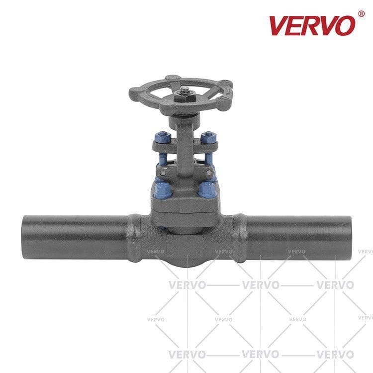ASTM A350 LF2 Gate Valve, Extended Body, 1 Inch, 800 LB