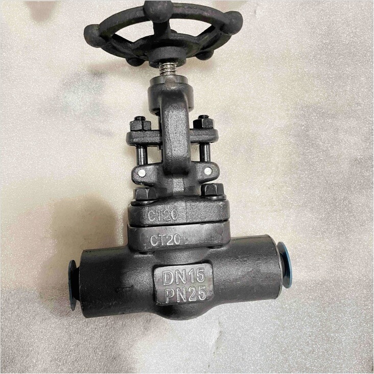 CT20 Gate Valve, DN15, PN25, BS 5352, Bolted Bonnet, BW