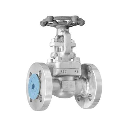 DSS ASTM A182 F53 Gate Valve, ISO 15761, DN25, PN25, RF