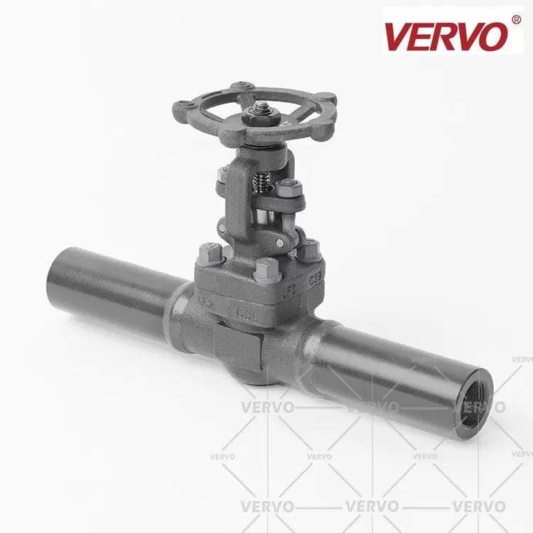 Extended Tube Gate Valve, 1IN, ASTM A350 LF2, CL800, FNPT
