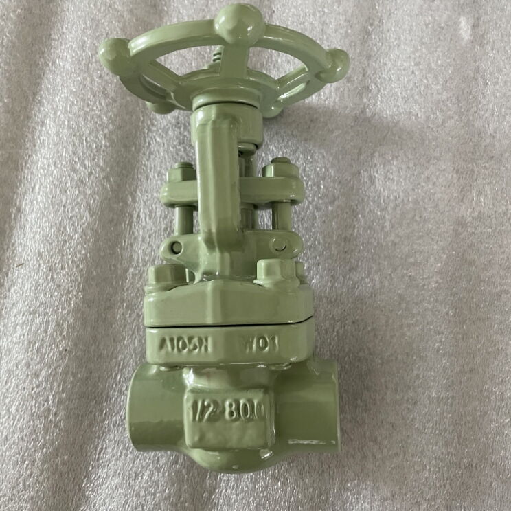 High Temperature Gate Valve, API 602, A105N, 1/2 IN, 800 LB