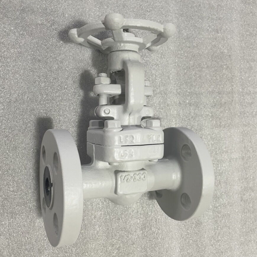 Low Temperature Gate Valve, ASTM A350 LF2, NPS 1/2 IN, CL300