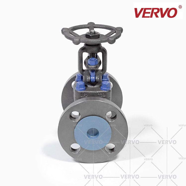 Low Temperature Gate Valve, Flanged, 1 Inch, 300 LB