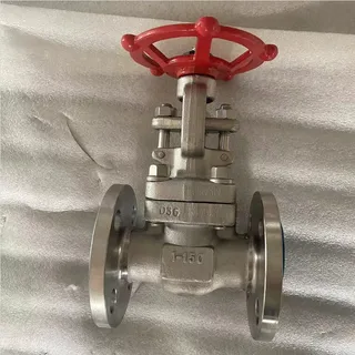 Stainless Steel Rising Stem Gate Valve, API 602, 150 LB, 1IN