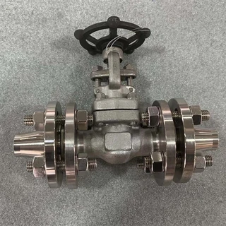 ASTM A182 F316 Gate Valve, 1 Inch, 150 LB, API 602, BB, RF
