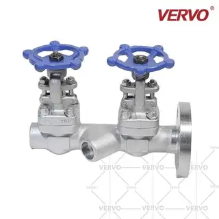 ASTM A182 F316 Double Gate Valve, BS 5352, 3 Inch, 300 LB