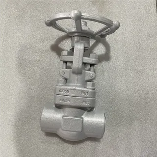 Carbon Steel Gate Valve, ASTM A105N, API 602, 1 IN, CL 1500