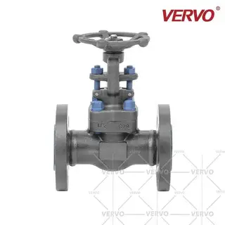 Cryogenic ASTM A350 LF2 Gate Valve, 2 Inch, 1500 LB