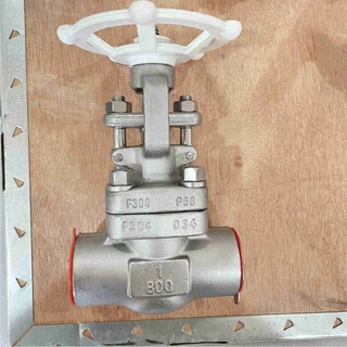 ASTM A182 F304 Gate Valve, 1 Inch, 800 LB, API 602, SW