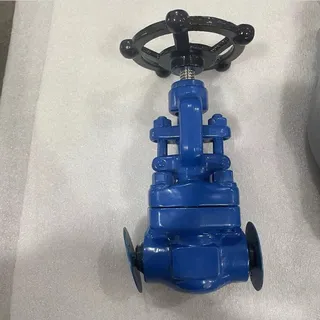 API 602 Bolted Bonnet Gate Valve, A105N, 1 Inch, CL 150 LB
