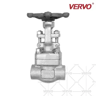 SS F304 Gate Valve, API 602, 1 Inch,  DN25, 800 LB, SW