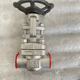 ASTM A182 F316L Gate Valve, API 602, 1/2 Inch, 800 LB, SW