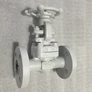 Low Temperature Gate Valve, ASTM A350 LF2, NPS 1/2 IN, CL300