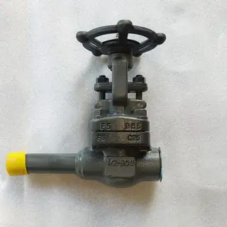ASTM A182 F5 Gate Valves, API 602, Alloy Steel, 1/2 IN, CL800