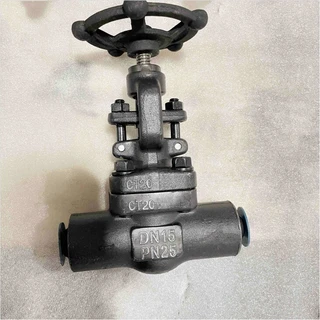CT20 Gate Valve, DN15, PN25, BS 5352, Bolted Bonnet, BW