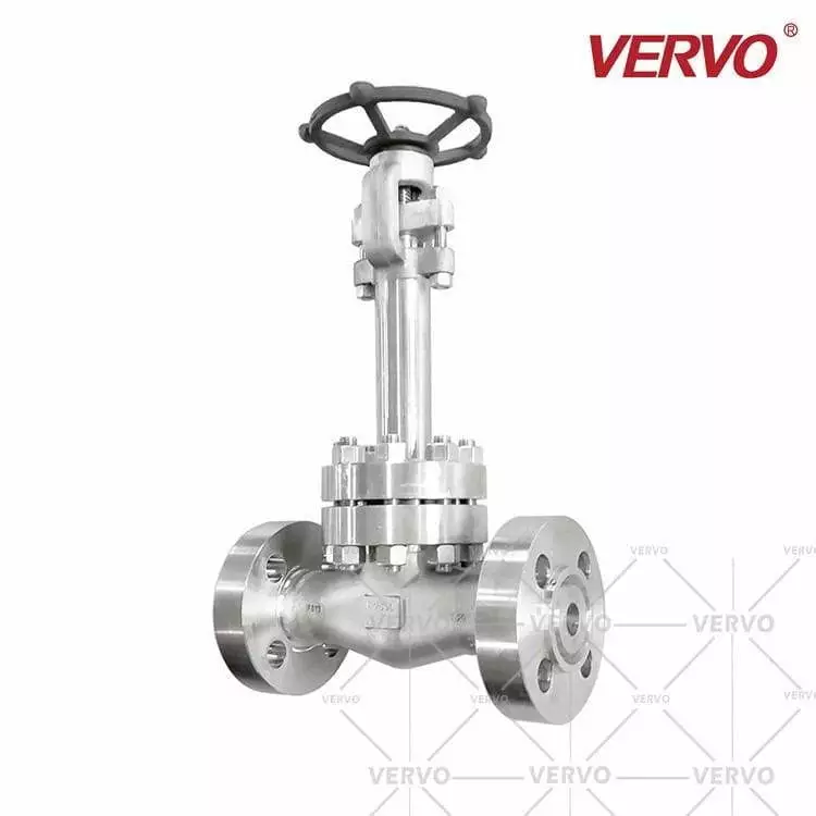 ASTM A182 F316 Cryogenic Gate Valve, 1 Inch, CL2500