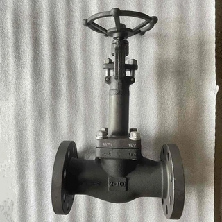 API 602 Gate Valve, ASTM A105N, Extended Stem, 2 Inch, 300 LB