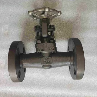 API 602 Integral Flanged Gate Valve, A182 F11, 3/4IN, 600 LB