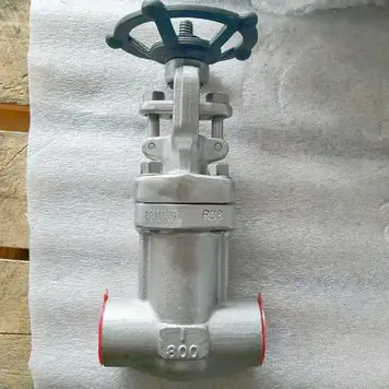 API 602 Bellow Sealed Gate Valve, F316/F316L, 1 IN, CL800 LB