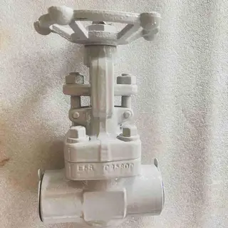 ASTM B148 C95800 Gate Valve, 3/4 Inch, 800 LB, API 602, SW