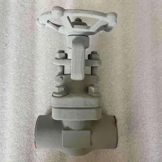 ASTM A105N Bolted Bonnet Gate Valve, 1/2 Inch, 800 LB, NPT