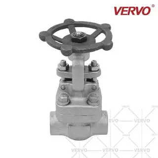 ASTM A182 F316 Gate Valve, 1/2 Inch, 300 LB, SW