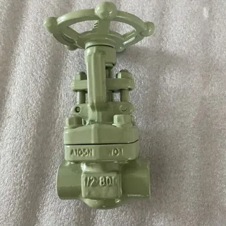 High Temperature Gate Valve, API 602, A105N, 1/2 IN, 800 LB