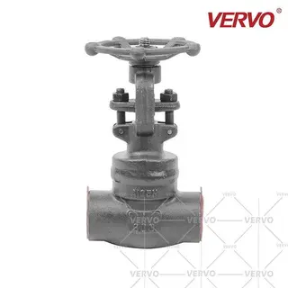 Weld Bonnet Gate Valve, ASTM A105N, 1 Inch, 800 LB, API 602