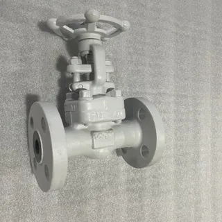 ASTM A182 F11 Gate Valves, API 602, 1/2 Inch, Class 300 LB