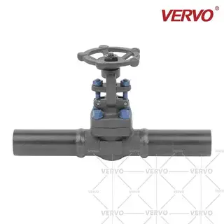 ASTM A350 LF2 Gate Valve, Extended Body, 1 Inch, 800 LB