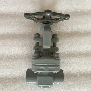 ASTM A182 F316L Gate Valve, API 602, Bolted Bonnet, 1/2IN CL800