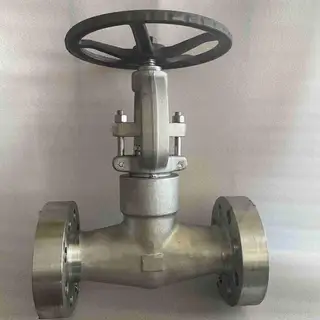 ASTM A182 F316 Welded Bonnet Gate Valve, 2 Inch, 2500 LB