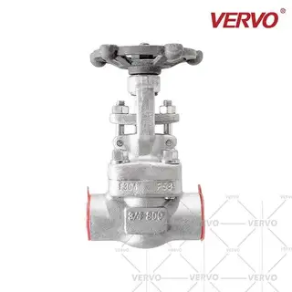 Forged ASTM A182 F304 Gate Valve, 3/4 Inch, 800 LB, SW