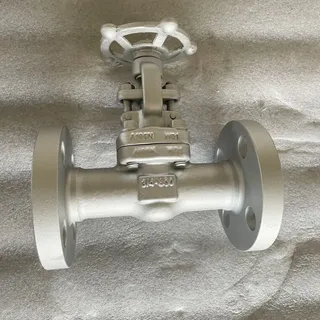 API 602 Bolted Bonnet Gate Valve, ASTM A105N, CL600, 3/4 IN