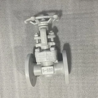 Carbon Steel ASTM A105N Gate Valve, API 602, 1 Inch, 150 LB
