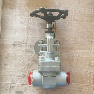 ASTM A182 F316L Gate Valves, API 602, 1 Inch, 800 LB, BW
