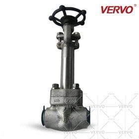 Solid Gate Valve, 1 IN, DN25, PN160, 900 LB, F304, SW