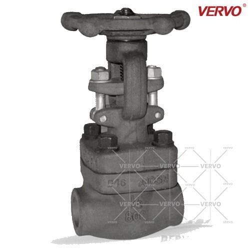 Solid Wedge Gate Valve, ASTM A105N, 1/2 Inch, 800 LB, SW