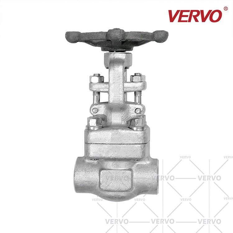 SS F304 Gate Valve, API 602, 1 Inch,  DN25, 800 LB, SW