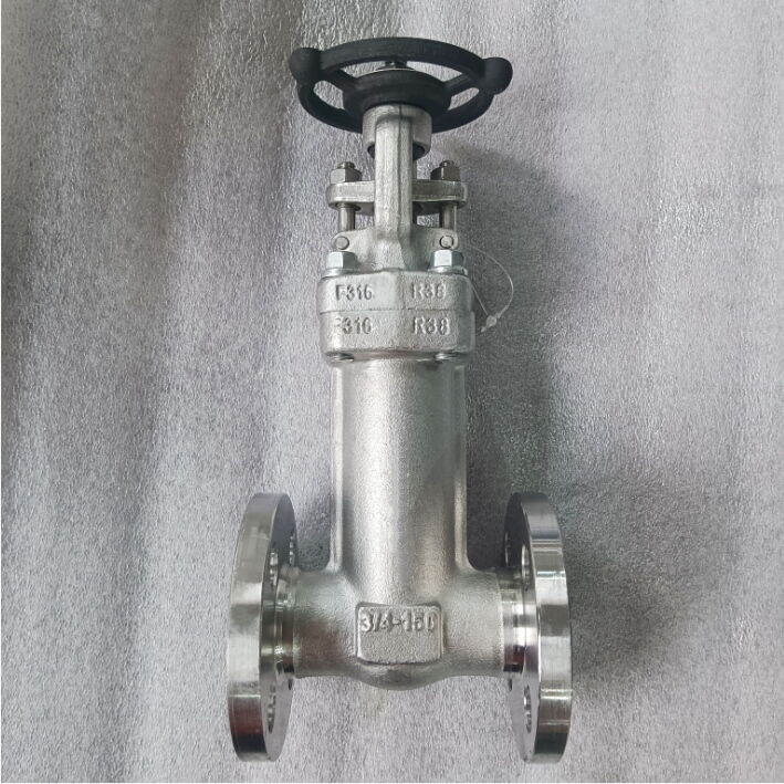 API 602 Bellow Globe Valve, 3/4 IN, 150 LB, ASTM A182 F316