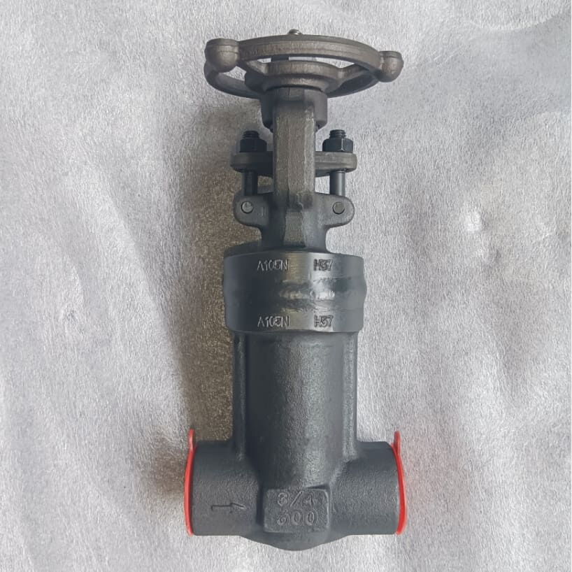 API 602 Bellow Globe Valve, Carbon Steel, 3/4 IN, 600 LB, SW