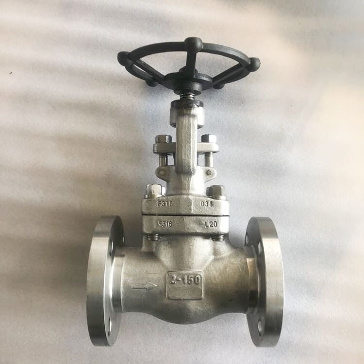 API 602 Flanged Globe Valve, ASTM A182 F316, 2 IN, 150 LB