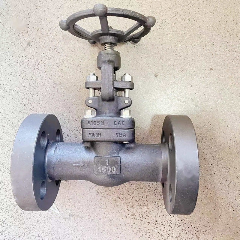 API 602 Globe Valve, 1 Inch, 1500 LB, ASTM A105N, RF Flanged