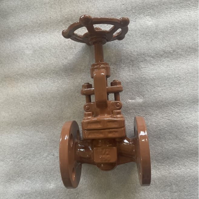API 602 Globe Valve, ASTM A105N, 1/2 Inch, 150 LB, OS&Y