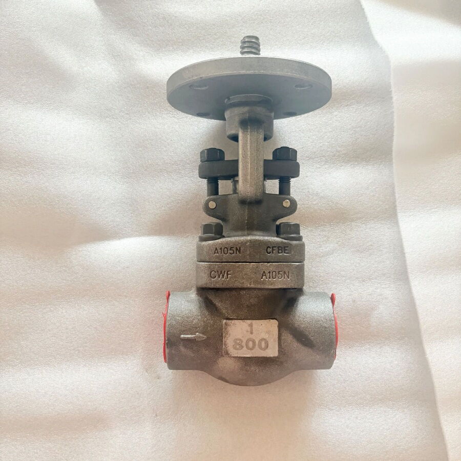 API 602 Globe Valves, ASTM A105N, 1 Inch, CL800 LB, OS&Y, SW